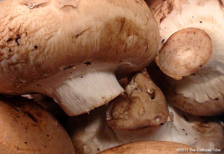 Eat Mushrooms Daily And Gain Health Benefits 8 Proven Benefits